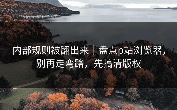 内部规则被翻出来｜盘点p站浏览器，别再走弯路，先搞清版权