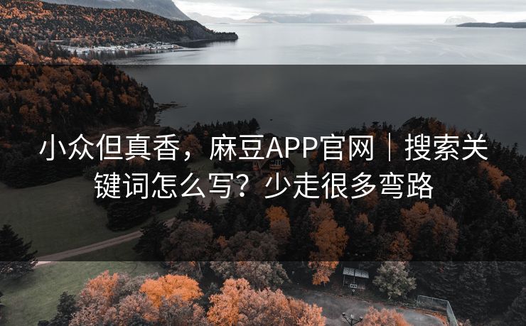 小众但真香,麻豆APP官网|搜索关键词怎么写?少走很多弯路 小众但真香,麻豆APP官网|搜索关键词怎么写?少走很多弯路