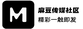 麻豆影业传媒品牌发展档案库