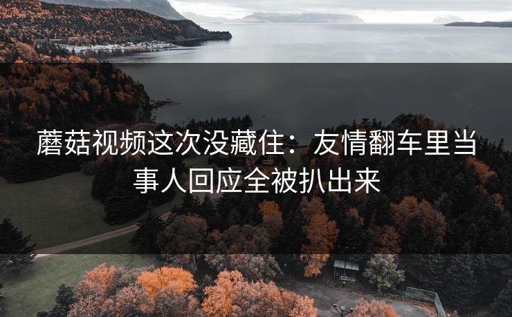 蘑菇视频这次没藏住:友情翻车里当事人回应全被扒出来 蘑菇视频这次没藏住:友情翻车里当事人回应全被扒出来