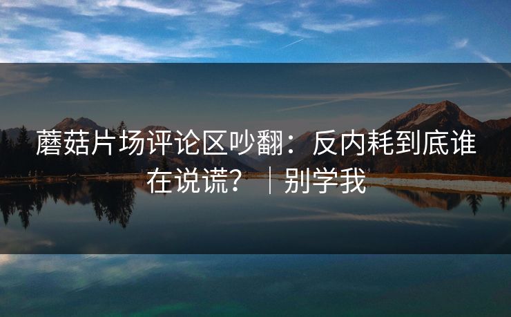 蘑菇片场评论区吵翻:反内耗到底谁在说谎?|别学我 蘑菇片场评论区吵翻:反内耗到底谁在说谎?|别学我
