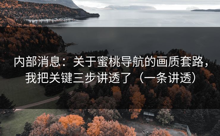 内部消息：关于蜜桃导航的画质套路，我把关键三步讲透了（一条讲透）